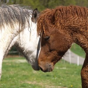 Meet your Posher, Casey